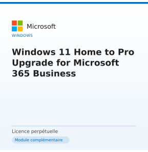 Windows 11 Home to Pro Upgrade for Microsoft 365 Business