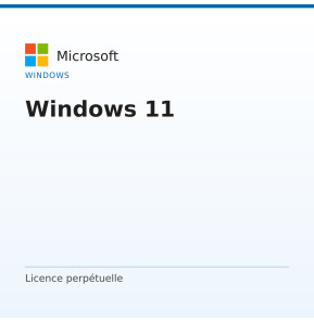 Windows 11