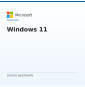 Windows 11 Professionnel