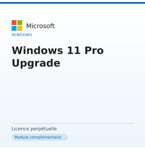 Windows 11 Pro Upgrade