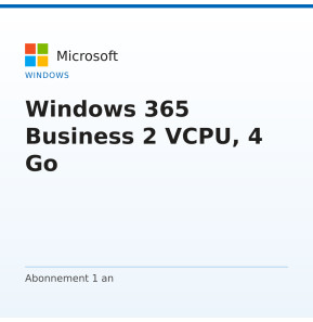 Windows 365 Business 2 VCPU, 4 Go