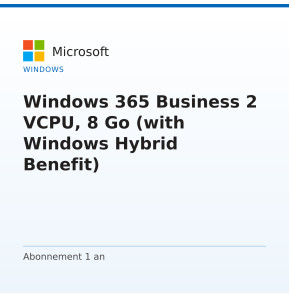 Windows 365 Business 2 VCPU, 8 Go (with Windows Hybrid Benefit)