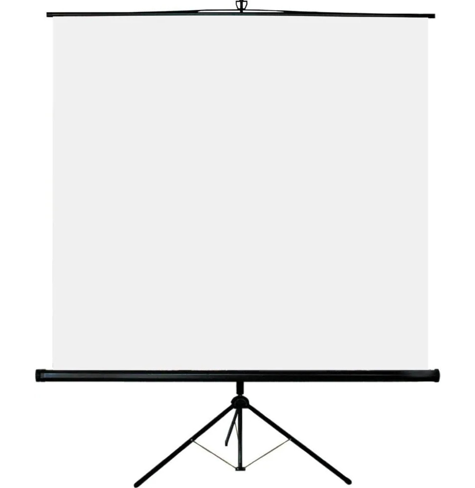 طقم قاعة متعددة الاستعمالات : جهاز عرض Epson CO-W01 + شاشة على حامل ثلاثي Oray 200 × 200 — صورة 3