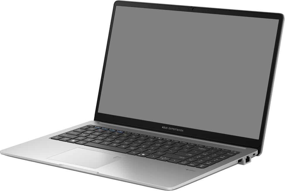 Ordinateur portable Asus ExpertBook P1 (P1503CVA-S72923)