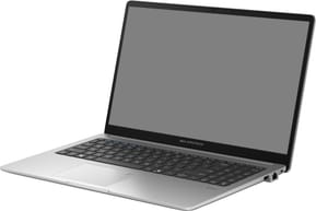 Ordinateur portable Asus ExpertBook P1 (P1503CVA-S72923)
