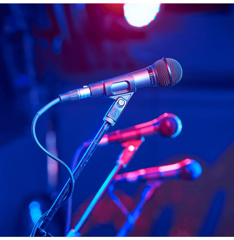 Microphone dynamique Audio-Technica ATM510 - main, cardioïde, pour la voix – vue 6