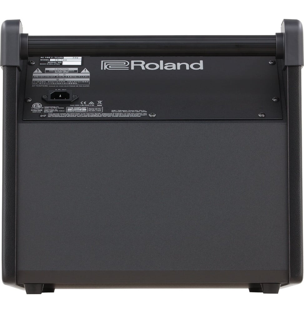 Enceinte moniteur pour batterie électronique Roland PM-100 - 80 W, boomer 25 cm – vue 3