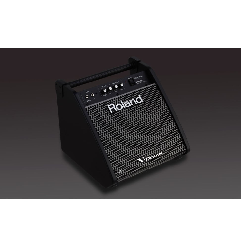 Monitor speaker for electronic drums Roland PM-100 - 80 W, 25 cm woofer – view 4