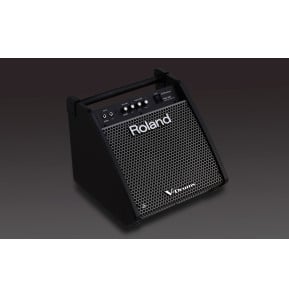Enceinte moniteur pour batterie électronique Roland PM-100 - 80 W, boomer 25 cm — image 4