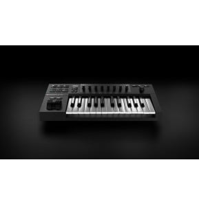 لوحة مفاتيح رئيسية USB-MIDI Native Instruments Komplete Kontrol A25 - 25 مفتاحًا شبه مثقل، شاشة OLED، NKS — صورة 3