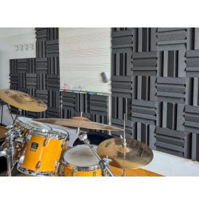 لوح صوتي من الإسفنج Vicoustic MD55، مقاس 30 x 30 سم، يباع بالوحدة — صورة 2