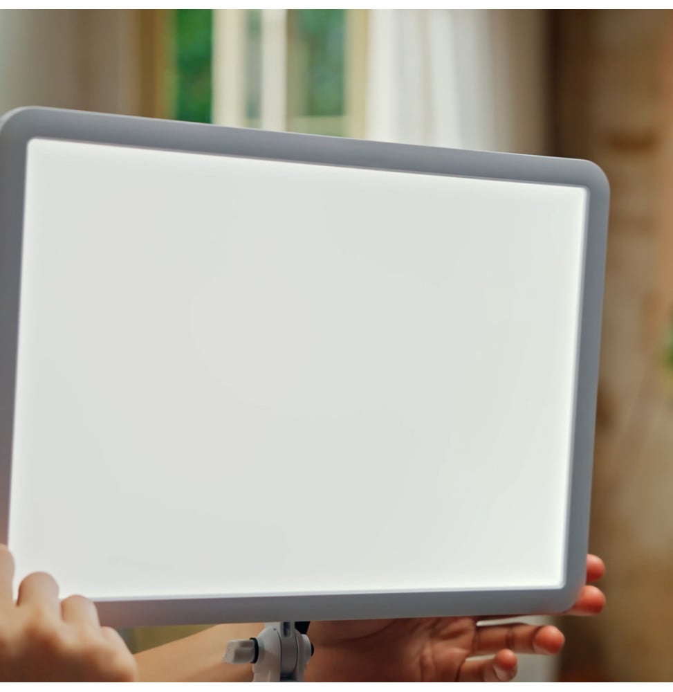 Panneau LED bicolore Godox P260C Pro (6952344236420)