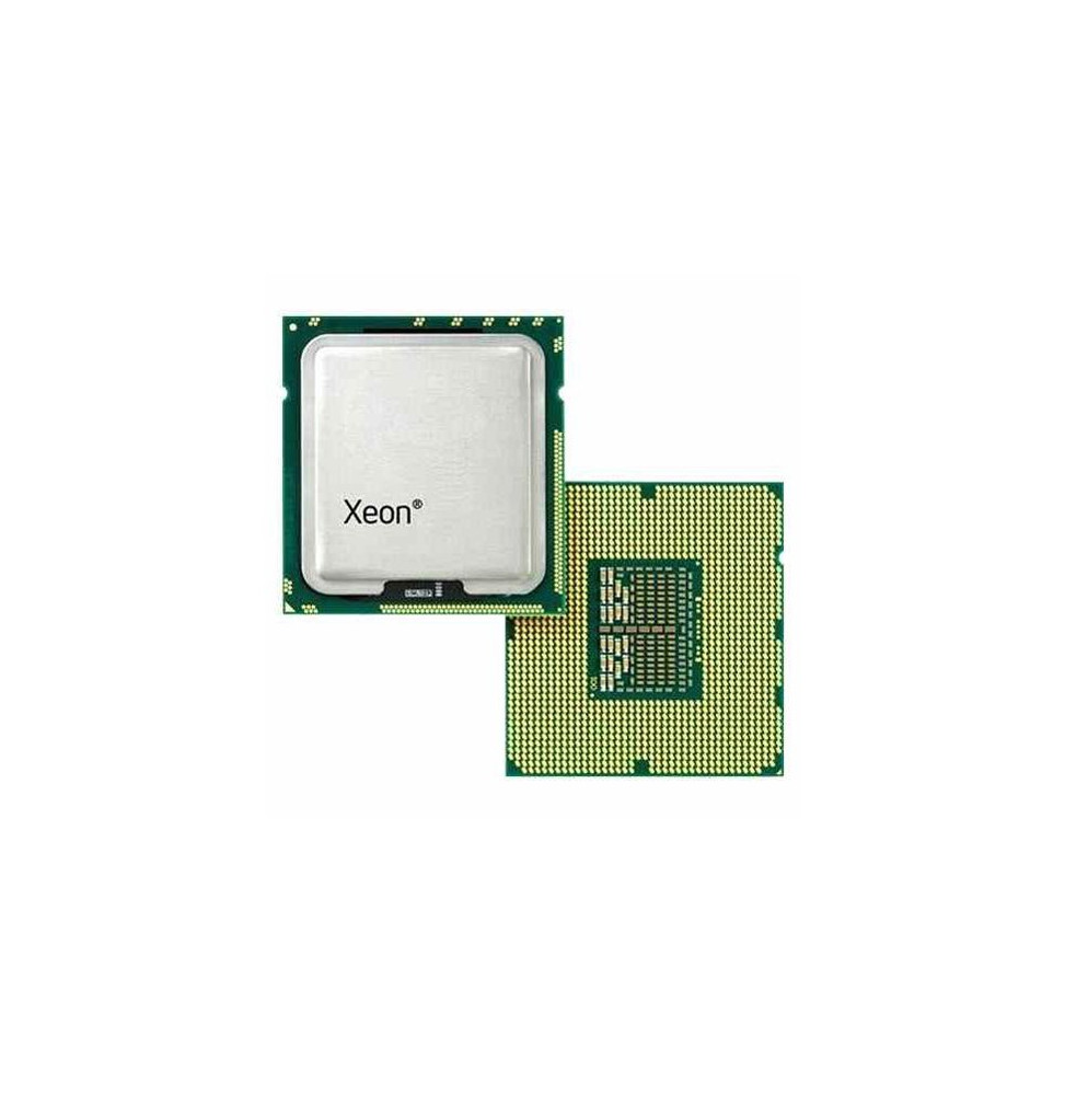 Processeur Dell Intel Xeon E5-2620 v4 2.1 GHz à 8 cœurs (338-BJEU)
