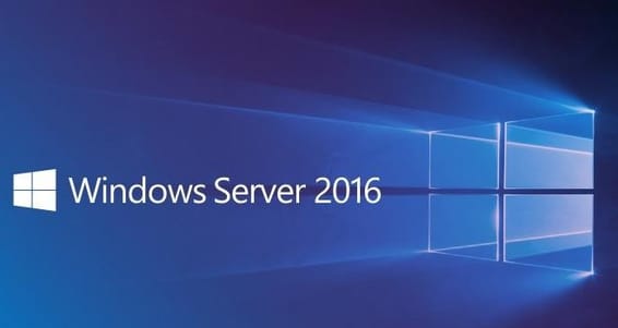 Microsoft Windows Server 2019 Français CAL - DSP OEI 5 (R18-05767)