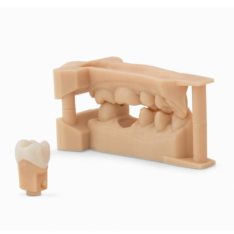 Cartouche Résine Form 2 Dental Model 1L (RS-F2-DMBE)