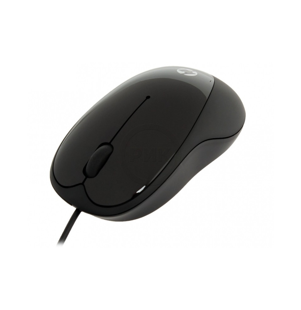 Souris HP X1000 USB (H2C21AA)