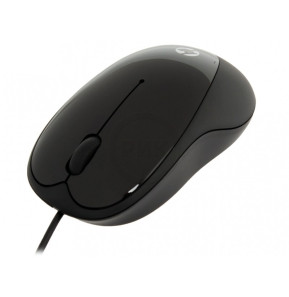 Souris HP X1000 USB (H2C21AA)