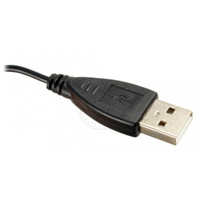 Souris HP X1000 USB (H2C21AA)