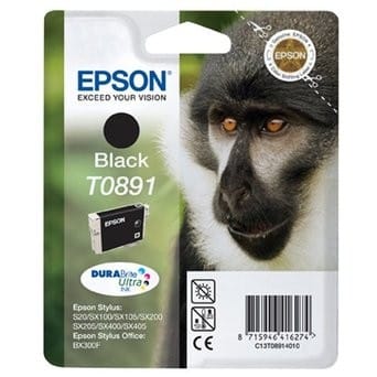 Cartouche d'encre Epson T0891 noir (C13T08914010)