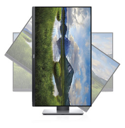 Écran 27" Full HD Dell P2719H (P2719H-3Y)