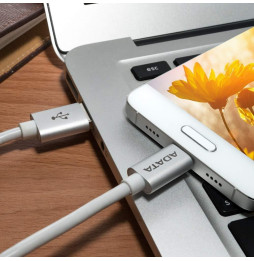 Câble USB ADATA Type C Vers 2.0 A (ACA2AL-100CM-CSV)