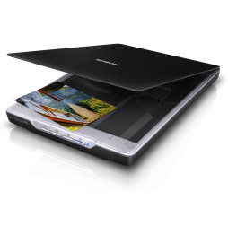 Scanner Epson Perfection V19 (B11B231401)