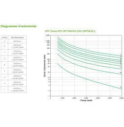 Onduleur On-line APC 6000VA Smart-UPS SRT (SRT6KXLI)