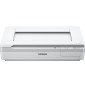 Scanner A3 EPSON WORKFORCE DS-50000 (B11B204131)