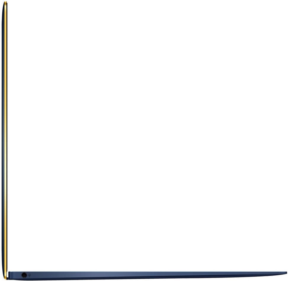 Ordinateur portable ASUS ZenBook 3 UX390UA-GS038T