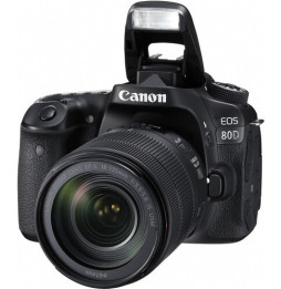 Reflex Canon EOS 80D + Objectif Canon EF-S 18-135mm IS USM (1263C012AA)