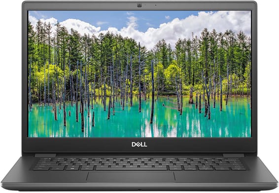Ordinateur Portable Dell Latitude 3410 (N001L341014EMEA)