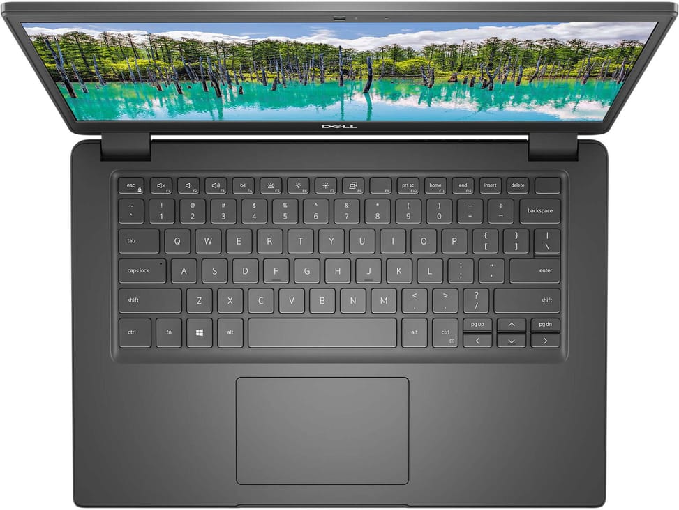 Ordinateur Portable Dell Latitude 3410 (N001L341014EMEA)