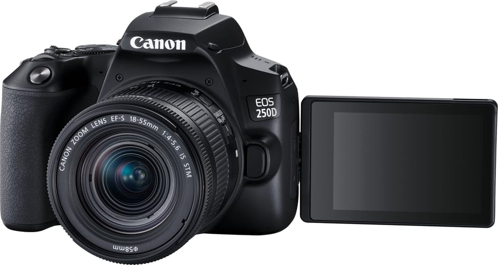 Reflex Canon EOS 250D + objectif EF-S 18-55mm f/4-5.6 IS STM (3454C002AA)