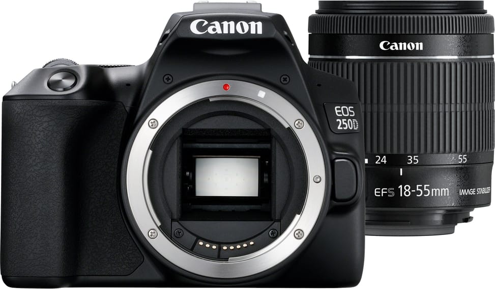 Reflex Canon EOS 250D + objectif EF-S 18-55mm f/4-5.6 IS STM (3454C002AA)