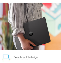 Ordinateur Portable HP 250 G7 (197P0EA)