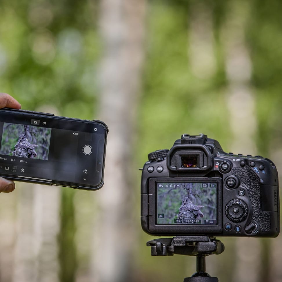 Canon EOS 90D + objectif EF-S 18-55mm IS STM (3616C010AA)