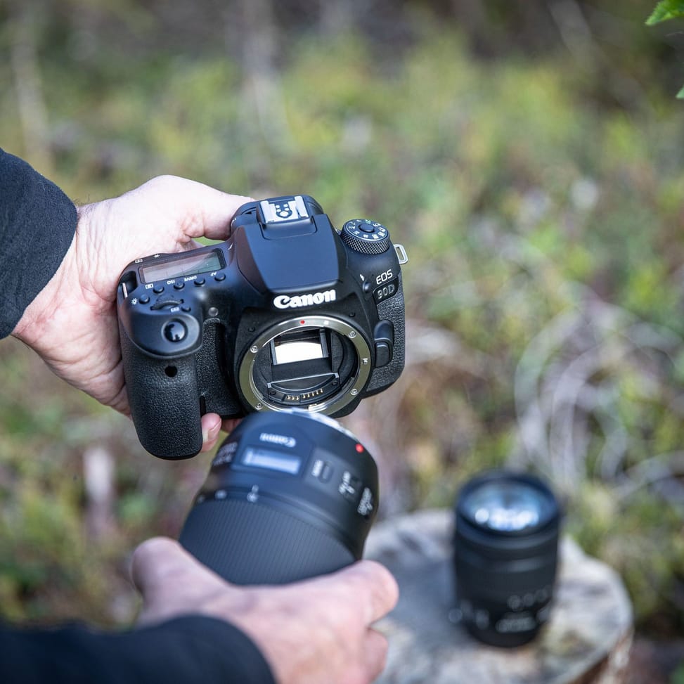 Canon EOS 90D + objectif EF-S 18-55mm IS STM (3616C010AA)