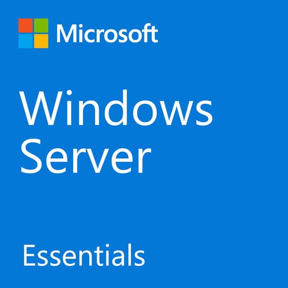 Microsoft Windows Server Essentials 2019 Server Essentials (G3S-01300FR)