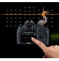 Appareil photo Reflex Canon EOS 5D Mark IV - Boîtier nu (1483C025AA)