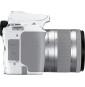 Canon EOS 250D, blanc + objectif EF-S 18-55mm f/4-5.6 IS STM (3458C001AA)