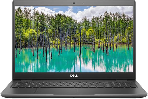Ordinateur portable Dell Latitude 3510 (N007L351015EMEA)