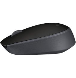 Souris sans fil Logitech M171 noire (910-004424)