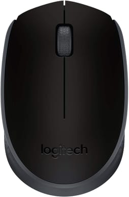 Souris