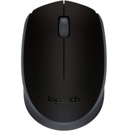 Souris sans fil Logitech M171 noire (910-004424)