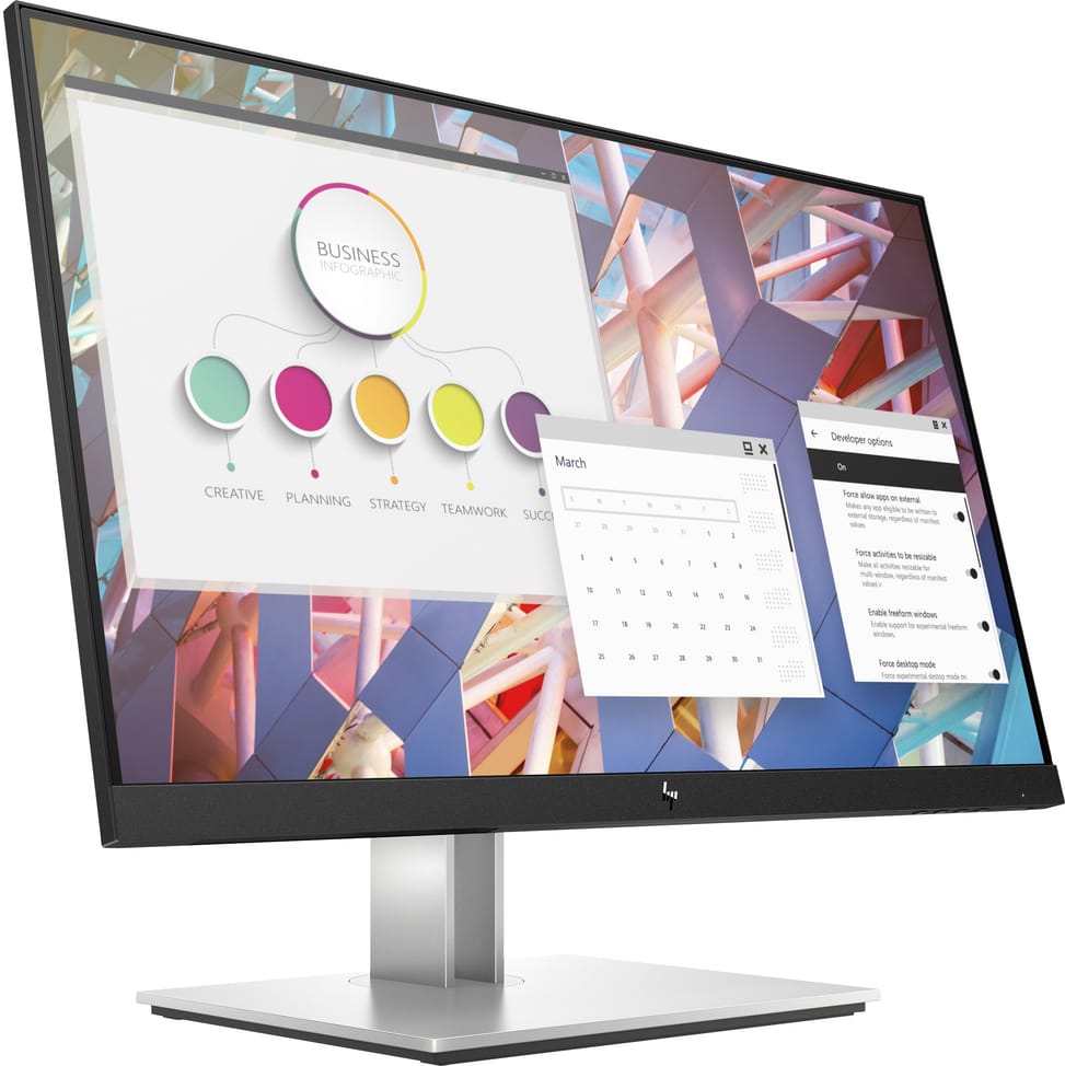 Écran 23,8" Full HD HP E24 G4 (9VF99AS)