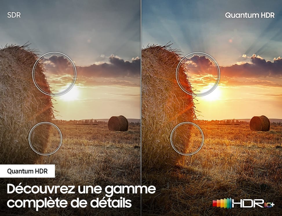 Téléviseur Samsung Smart 4K Ultra HD HDR QLED TV 55" (QA55Q60TAUXMV)