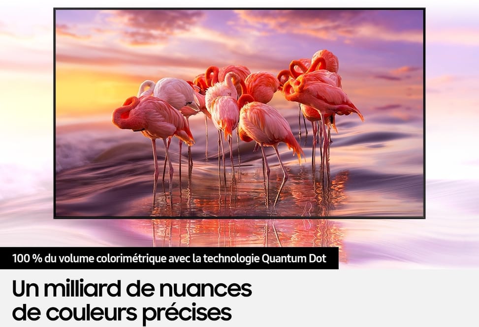 Téléviseur Samsung Smart 4K Ultra HD HDR QLED TV 55" (QA55Q60TAUXMV)
