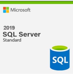 Microsoft SQL Server 2019 Standard (228-11477)