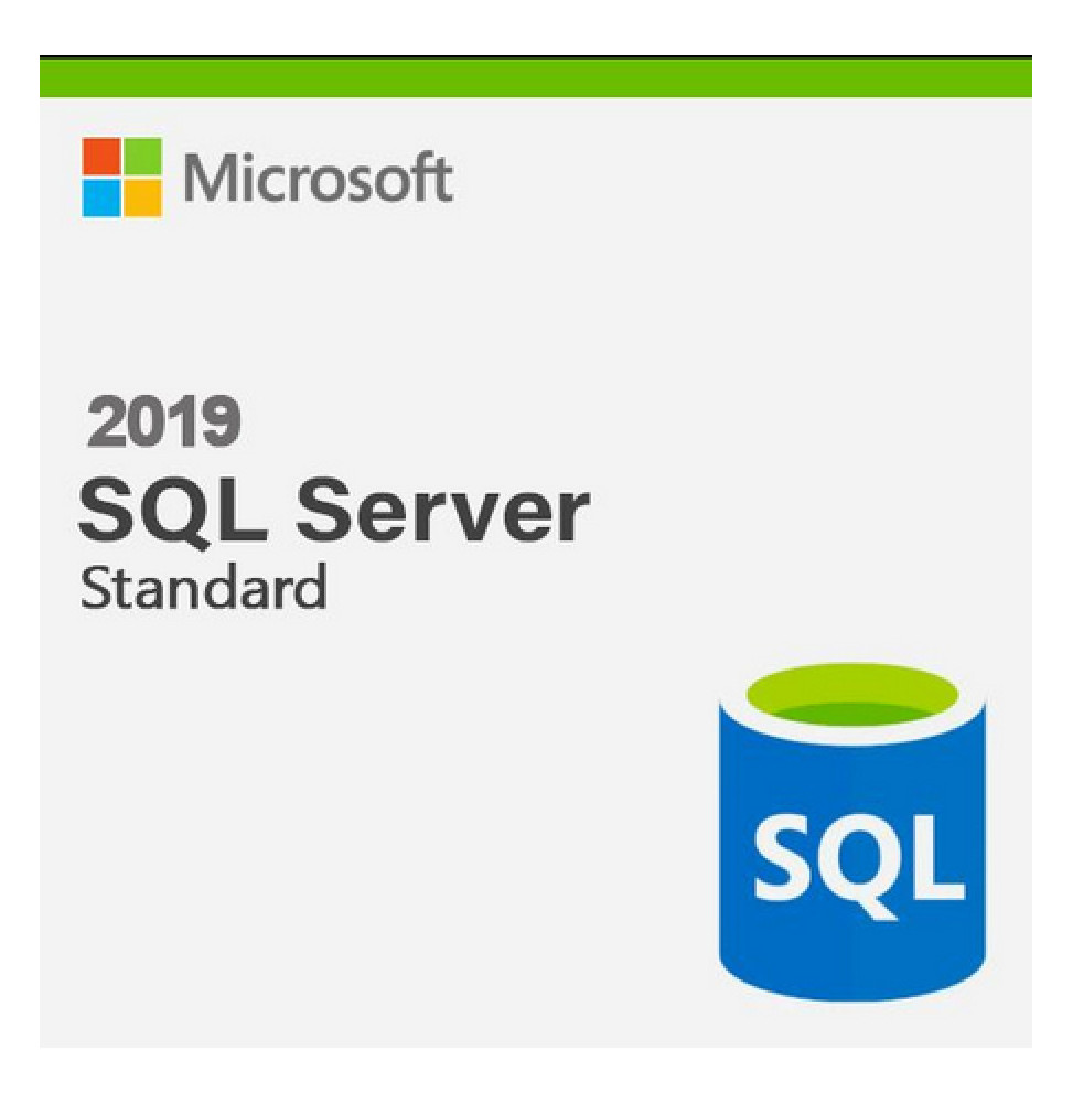 Microsoft SQL Server 2019 Standard (228-11477)