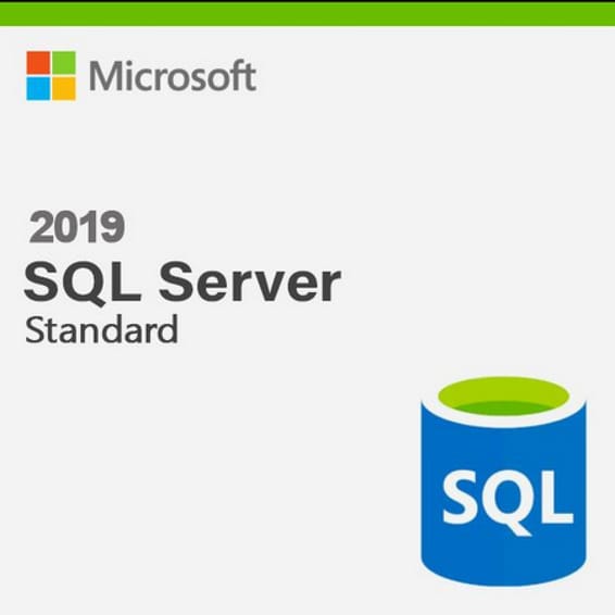 Microsoft SQL Server 2019 Standard (228-11477)